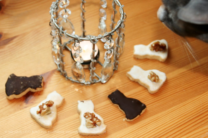 leuchtendes Teelicht, davor ein paar Kekse in Katzenform, rechts Katze mit Schnurrhaaren